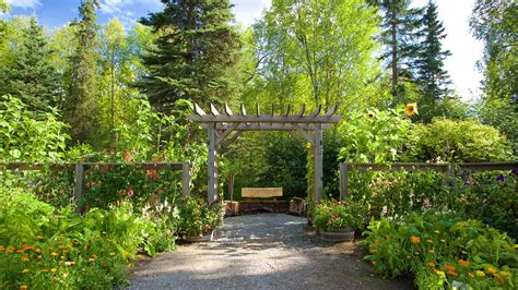 Alaska Botanical Garden in Anchorage, Alaska | Expedia