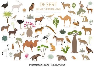 Desert Animals Royalty-Free Images, Stock Photos & Pictures | Shutterstock