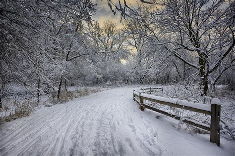 Winter Sunrise Photograph by Sebastian Musial - Fine Art America