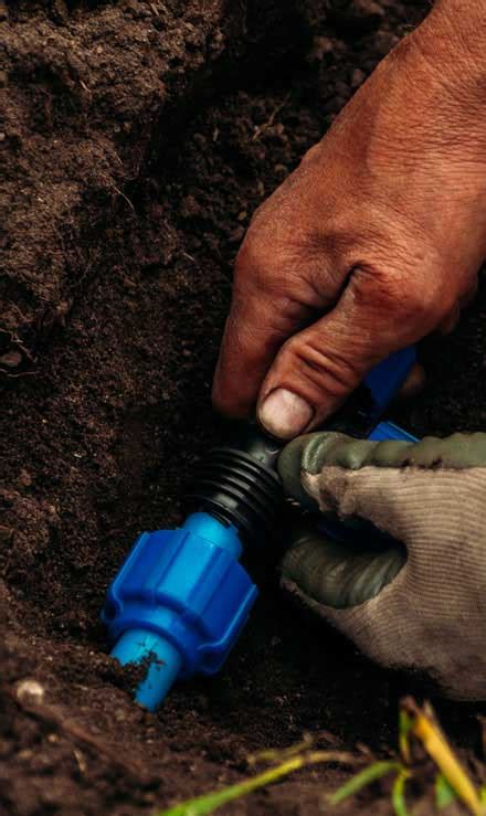 5 things to know about installing an irrigation - RenovationFind Blog