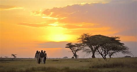 Serengeti National Park travel information - Tanzania