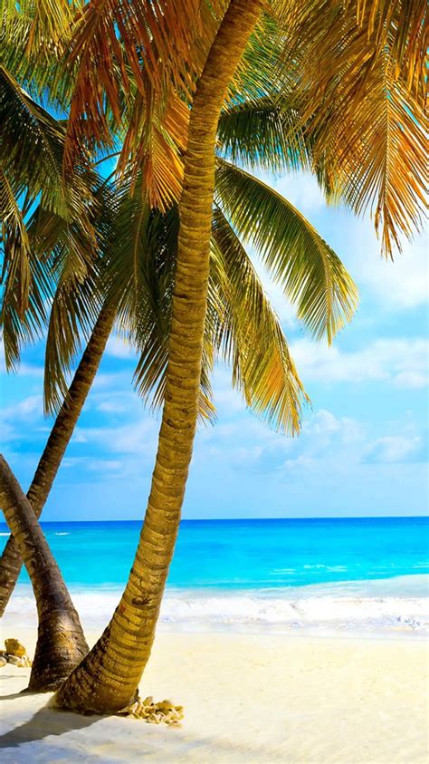 Palm Trees And Tropical Beach Wallpapers - Wallpaper Cave