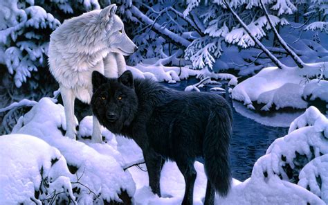 Top 53+ black and white wolf wallpaper best - in.cdgdbentre