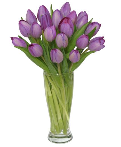 Purple Amethyst Tulip Bouquet in Sikeston, MO - THE FLOWER PATCH OF SIKESTON INC.