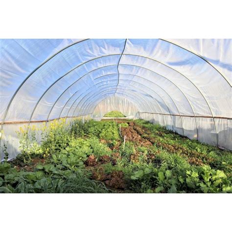 6 Mil UV Protective Greenhouse Plastic | Farm Plastic Supply