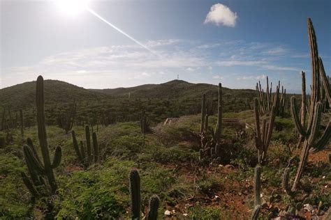 Exciting Hike with Stunning Views to Aruba’s Highest Point – Fins ...