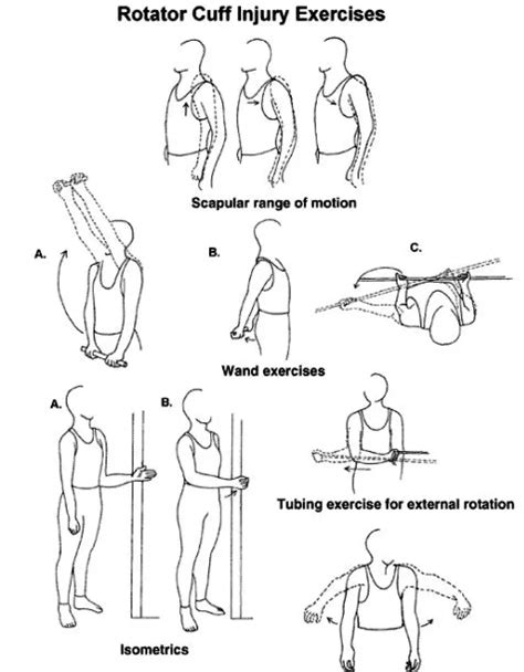 camera China Dismantle printable rotator cuff exercises two weeks Justice Everyone