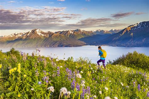 Things to Do in Anchorage | Hiking, Sightseeing & Tours