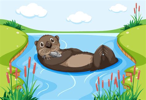 An otter floating on water in the forest 4938306 Vector Art at Vecteezy