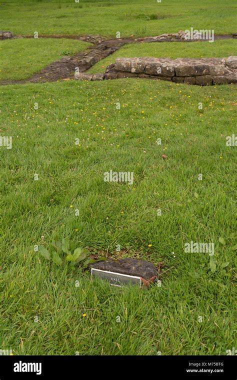 Fort at Bar Hill (2dn century, the highest of all the Antonine Wall forts), Close to the village ...