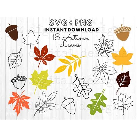 Autumn leaves svg bundle | fall leaves svg | leaf svg png cl - Inspire ...