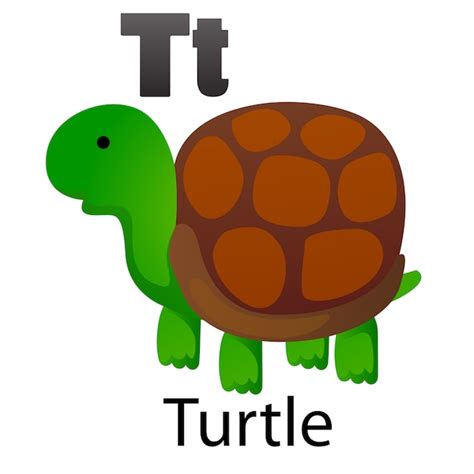 Premium Vector | Alphabet letter t-turtle