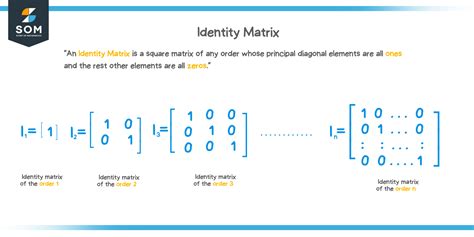 Identity matrix - Explanation & Examples