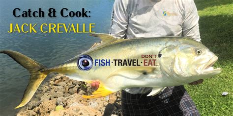 jack crevalle recipe Archives - Fish Travel Eat