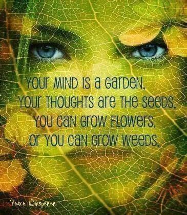 Reap what you plant. | Words, Inspirational quotes, Thoughts