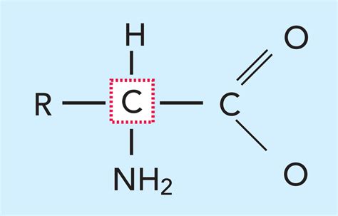 THE CHEMISTRY OF MILK | Dairy Processing Handbook