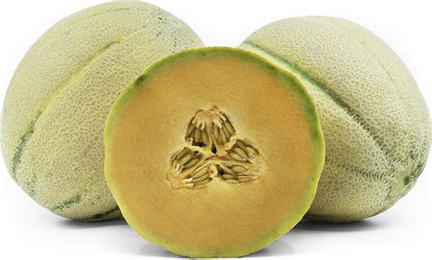 Tuscan Style™ Cantaloupe Information, Recipes and Facts