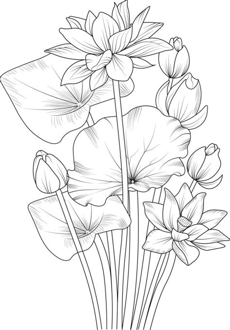 Lotus flower drawing, a branch of the botanical spring collection, ink ...