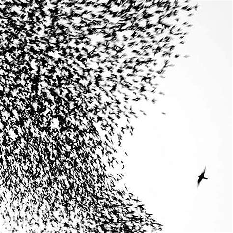 Review: Wilco, Sky Blue Sky - Slant Magazine