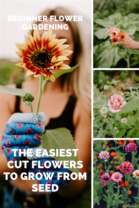 10 Of The Easiest Cut Flowers To Grow From Seed For Beginners - From ...