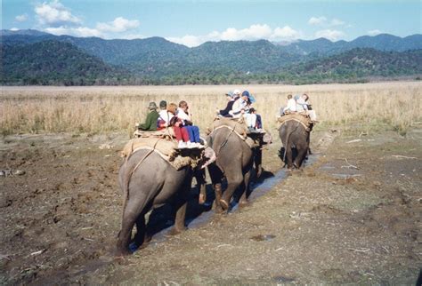 Jim Corbett National Park | Jeep Safari & Travel Guide to Jim Corbett