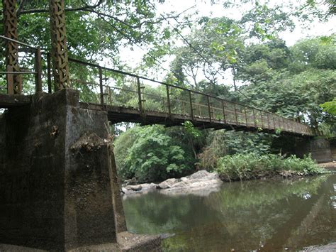 Osun-Osogbo Sacred Grove | World Monuments Fund