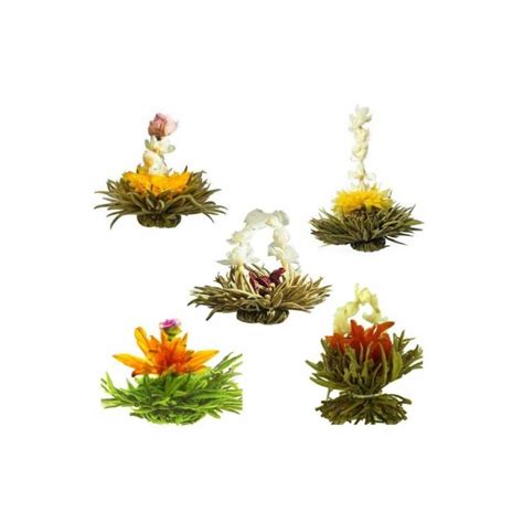 Artisan Flowering Tea Bulbs - Luxury Blooming Tea | The Tea Makers