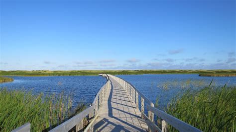 Prince Edward Island National Park, Part 1: Greenwich | Prince edward ...