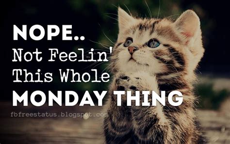 Happy & Funny Monday Quotes to Make You Smile | Monday humor quotes, Monday quotes, Monday humor