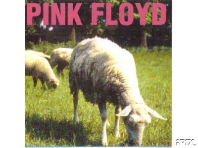 Sheep Images: Pink Floyd Sheep