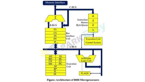 Microprocessor | Architecture of 8088 Microprocessors | BCA | Spark ...