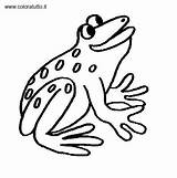 Anfibi Disegni Per Bambini Da Colorare sketch template