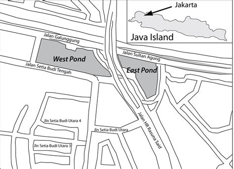 -Location of Setiabudi Ponds of Jakarta. | Download Scientific Diagram