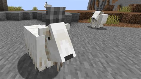 How to tame a Goat in Minecraft 1.17 | Rock Paper Shotgun