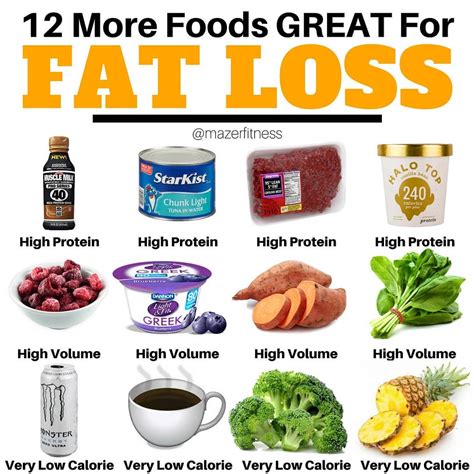 What Protein Food Is Best For Weight Loss at Sheryl Benbow blog