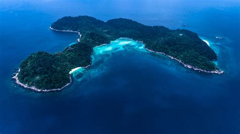 Tioman Island, Malaysia: an unknown paradise of coral reefs and jungle - PescArt - Enrico Pescantini