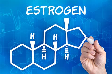 Estrogen's Role in Dementia Prevention Studied | The Oldish®