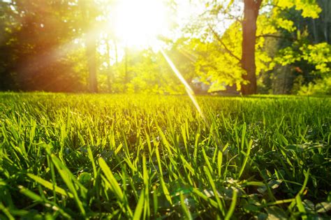 Napi időjárás: vitathatatlanul itt a tavasz, napsütéses idő várható | Femcafe Lawn Maintenance ...