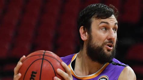 Will Andrew Bogut return to the Sydney Kings or join another club ...