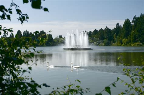 Jubilee Fountain in Lost Lagoon, Stanley Park Vancouver | Stanley park ...