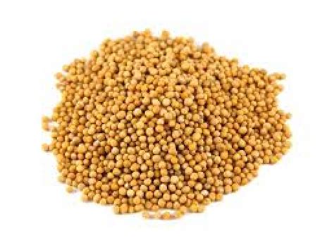 YELLOW MUSTARD SEEDS -600g - Debriar