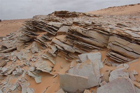 Clastic Sedimentology