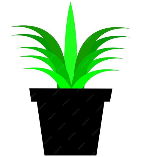 Premium Vector | Potted plant decorative houseplant vector illustration