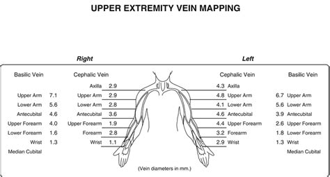 Upper Extremity Vein Mapping Ultrasound