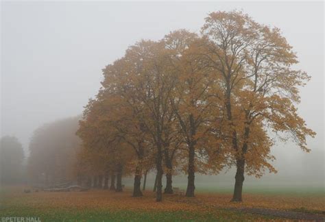 In Pictures: Foggy London | Londonist