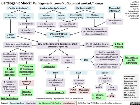 Cardiogenic Shock | Calgary Guide