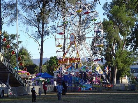 Reseda Park Lake | Park, Lake, Explore