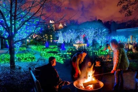 Atlanta Botanical Garden Events - Flower Garden Ideas