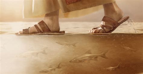 Why Jesus Walked (And Why You Should Too)