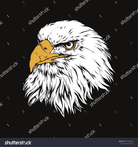 2,452 Bald Eagle Cartoon Sign Images, Stock Photos & Vectors | Shutterstock